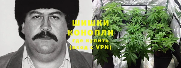 метамфетамин Белокуриха